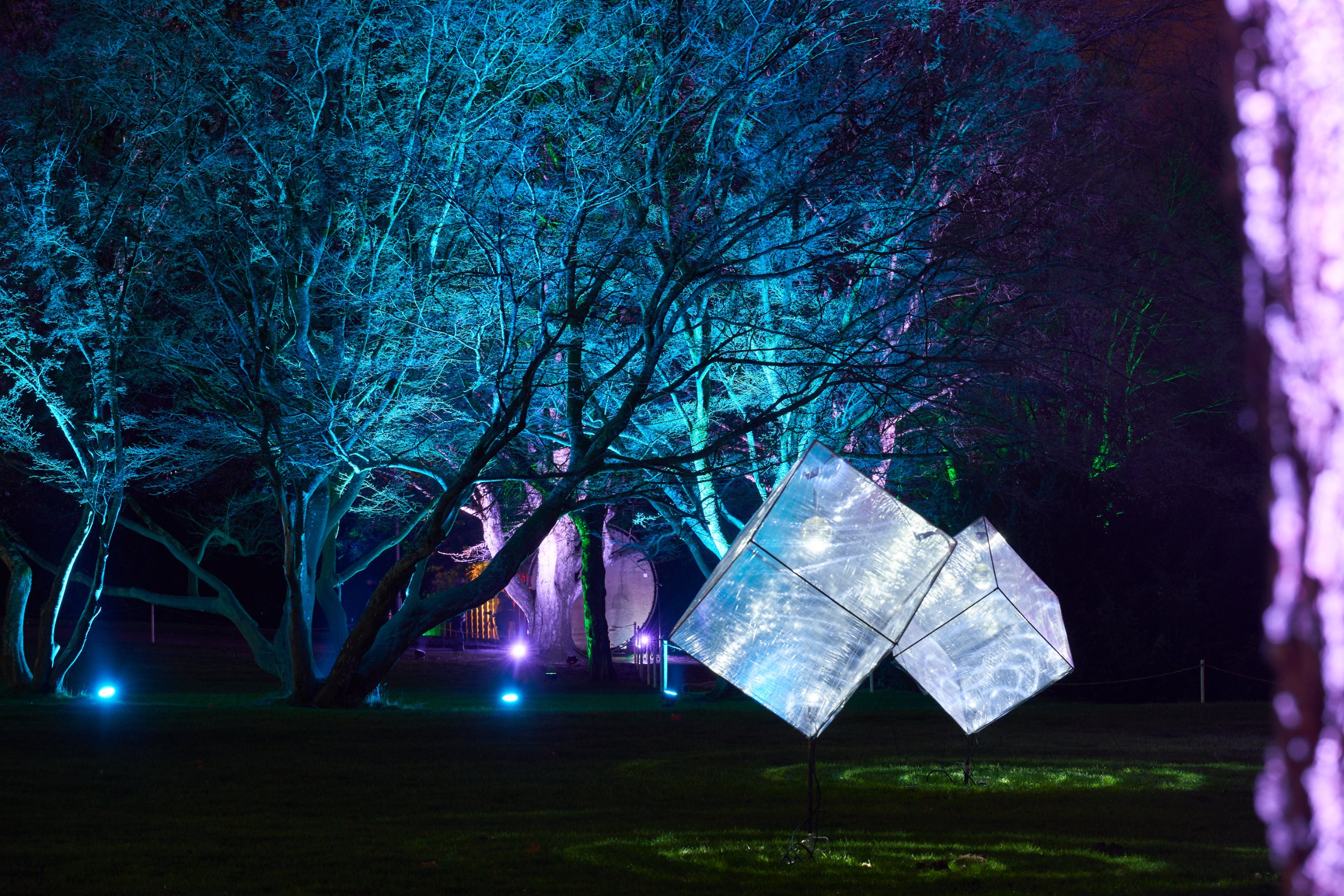 2023 01 23 Parkleuchten 0008